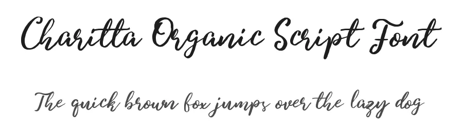 Charitta Organic Script Font by Lettersiro — Script Handwritten Font