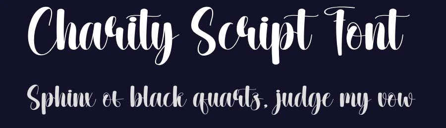 Charity Script Font by creativeletter — Script Handwritten Font — thumbnail 2