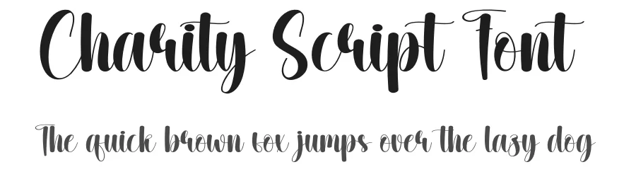 Charity Script Font by creativeletter — Script Handwritten Font