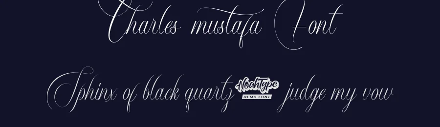 Charles Mustafa Font by noahtype — Script Handwritten Font — thumbnail 2