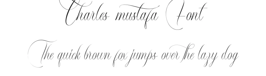 Charles Mustafa Font by noahtype — Script Handwritten Font