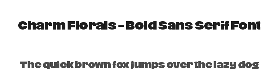 Charm Florals – Bold Sans Serif Font by timelesstype.co — Sans Serif Font