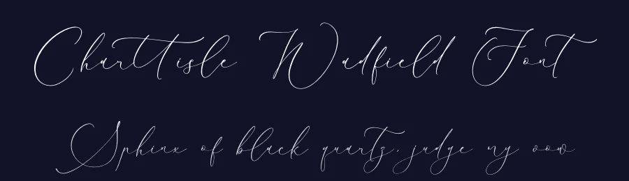 Charttisle Wadfield Font by Storytype — Script Handwritten Font — thumbnail 2