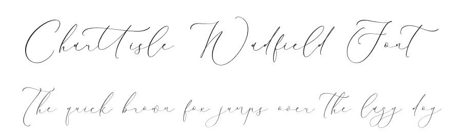 Charttisle Wadfield Font by Storytype — Script Handwritten Font