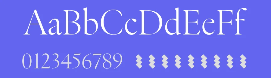 Chassi Font Family by Rui Abreu — Serif Font — thumbnail 3