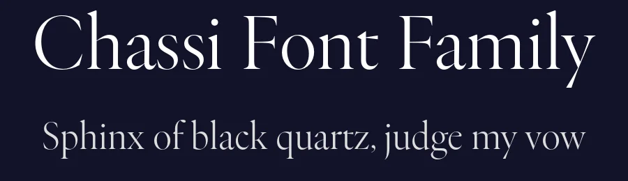 Chassi Font Family by Rui Abreu — Serif Font — thumbnail 2