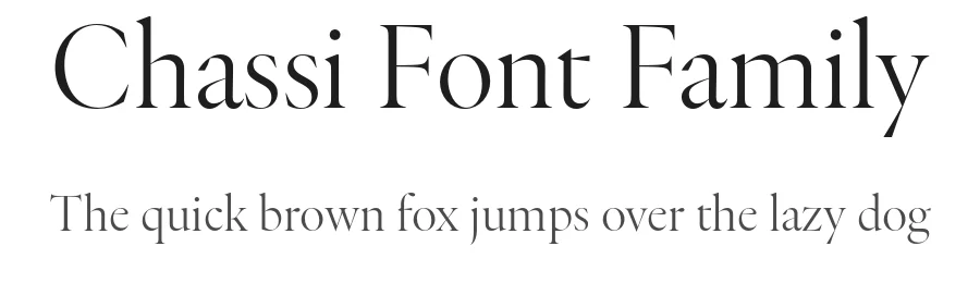 Chassi Font Family by Rui Abreu β Serif Font