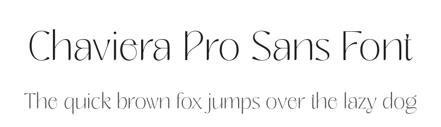 Chaviera Pro Sans Font by INKSUNβ’ β Sans Serif Font