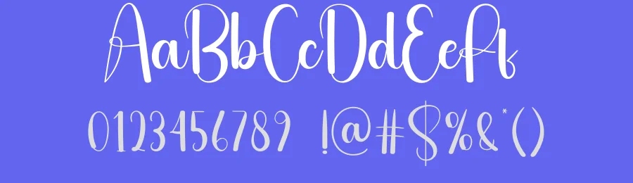 Check Script Font by creativeletter — Script Handwritten Font — thumbnail 3