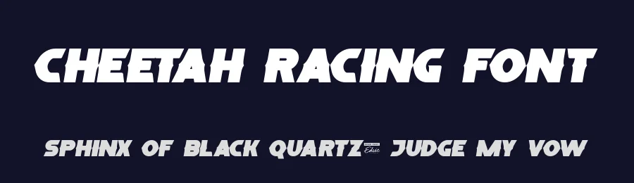Cheetah Racing Font by edricstudio — Display Font — thumbnail 2