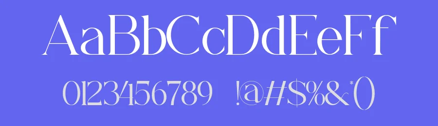 Chena Font by ErmediaStudio — Serif Font — thumbnail 3