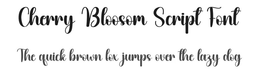Cherry Bloosom Script Font by creativeletter — Script Handwritten Font