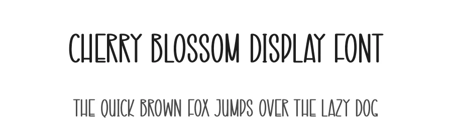 Cherry Blossom Display Font by creativeletter — Display Font
