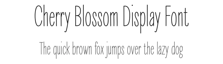 Cherry Blossom Display Font by andikastudio — Script Handwritten Font