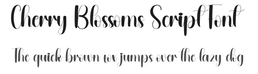 Cherry Blossoms Script Font by andikastudio — Script Handwritten Font