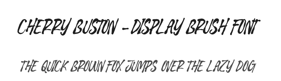 Cherry Buston – Display Brush Font by stylishtype.co — Script Handwritten Font