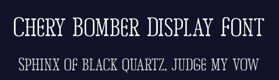 Chery Bomber Display Font by Storytype — Slab Serif Font — thumbnail 2