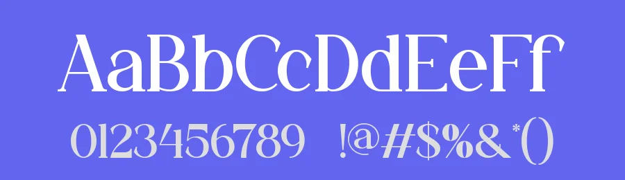 Chesko || Modern Classy Serif Font by ErmediaStudio — Display Font — thumbnail 3