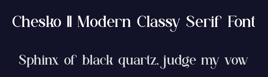 Chesko || Modern Classy Serif Font by ErmediaStudio — Display Font — thumbnail 2