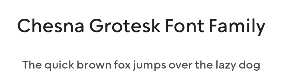 Chesna Grotesk Font Family by Horizon Type — Sans Serif Font