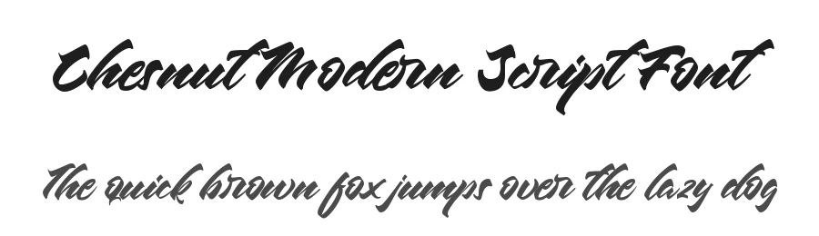 Chesnut Modern Script Font by typotopia — Script Handwritten Font