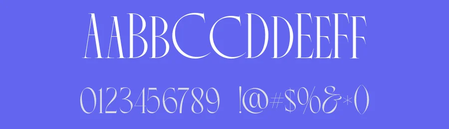 Chevani Font by Surplus Type Co — Serif Font — thumbnail 3