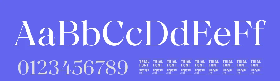 Chiaroscura Font Family by Emtype Foundry — Serif Font — thumbnail 3