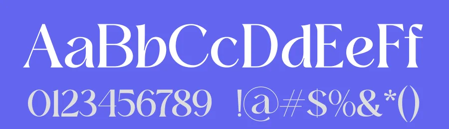 Chic Avenue Font by Zafiratype — Serif Font — thumbnail 3