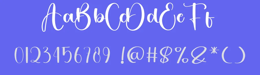 Chicago Downton – Luxury Handwritten Script Font by freshtypeink — Script Handwritten Font — thumbnail 3