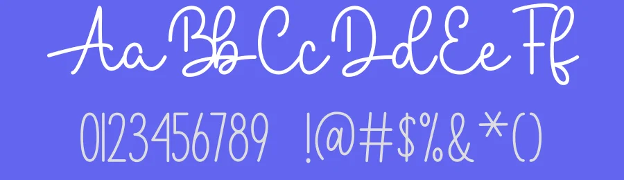 Chicken Marinade Font Duo by DN Creative — Script Handwritten Font — thumbnail 3