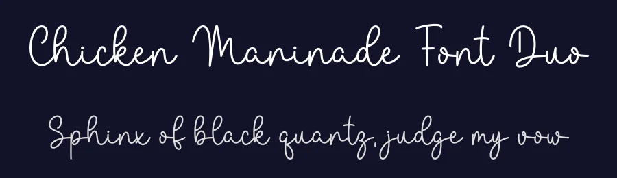 Chicken Marinade Font Duo by DN Creative — Script Handwritten Font — thumbnail 2