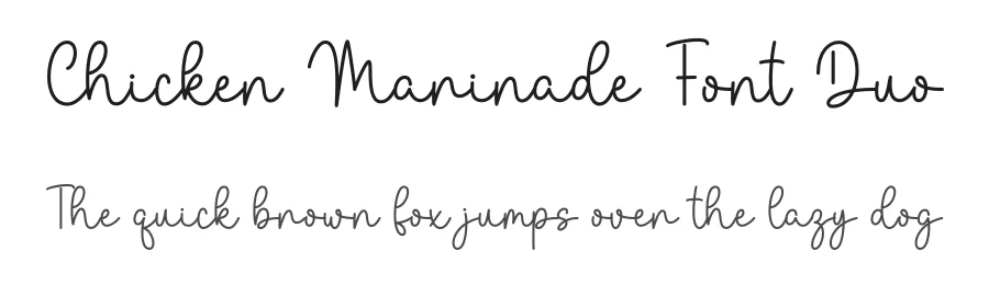 Chicken Marinade Font Duo by DN Creative — Script Handwritten Font