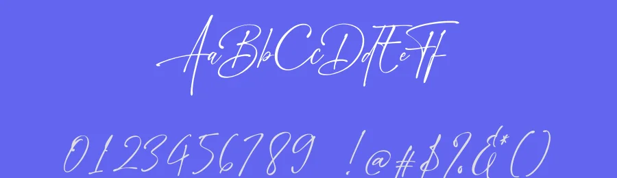 Chicnatures Signature Font by Abo Daniel — Script Handwritten Font — thumbnail 3