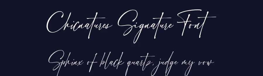 Chicnatures Signature Font by Abo Daniel — Script Handwritten Font — thumbnail 2