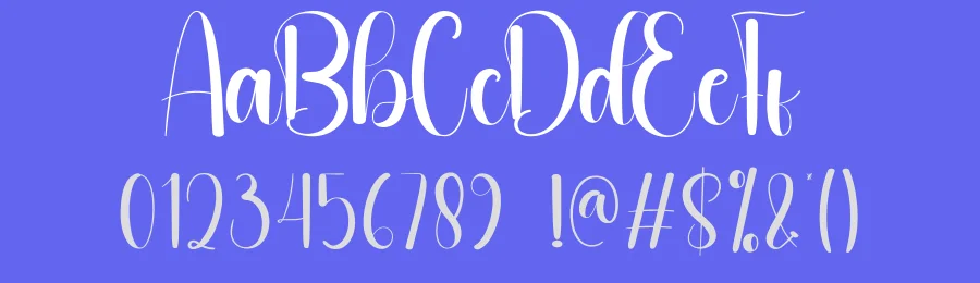 Chilly Script Typeface by andikastudio — Script Handwritten Font — thumbnail 3