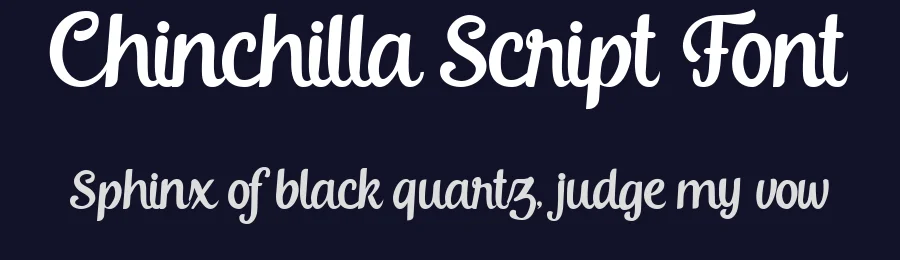 Chinchilla Script Font by HydricDesign — Script Handwritten Font — thumbnail 2