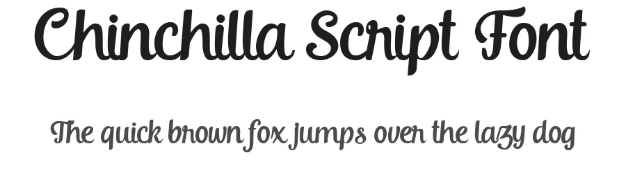 Chinchilla Script Font by HydricDesign β Script Handwritten Font