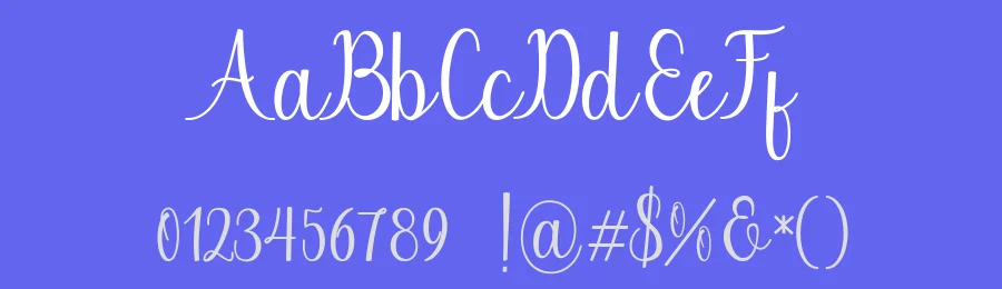 Chinchilla Script Font by JoeeCreative — Script Handwritten Font — thumbnail 3