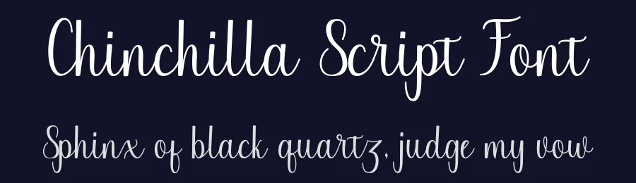 Chinchilla Script Font by JoeeCreative — Script Handwritten Font — thumbnail 2
