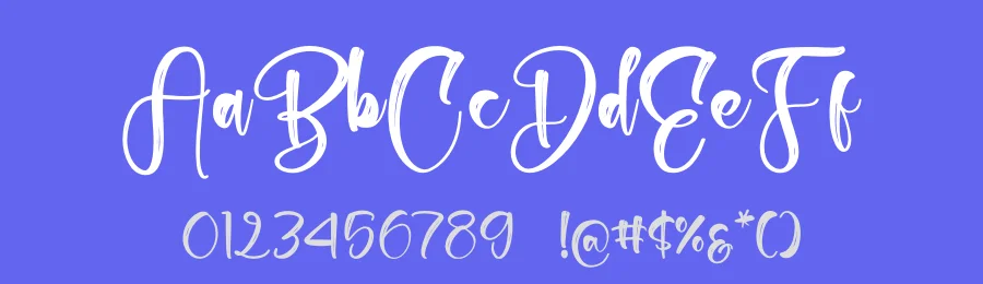Chinstrap Stucky Brush Font by stylishtype.co — Script Handwritten Font — thumbnail 3
