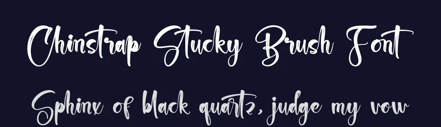 Chinstrap Stucky Brush Font by stylishtype.co — Script Handwritten Font — thumbnail 2