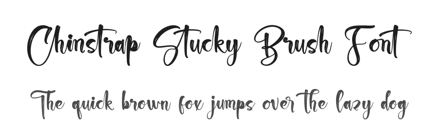 Chinstrap Stucky Brush Font by stylishtype.co — Script Handwritten Font