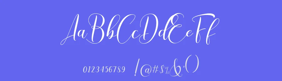 Chinthya Calligraphy Font by Namara Creative Studio — Script Handwritten Font — thumbnail 3