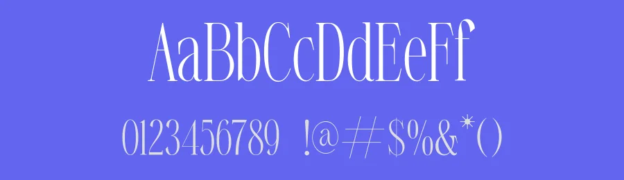 Choondor Font by Artnivora Studio — Serif Font — thumbnail 3