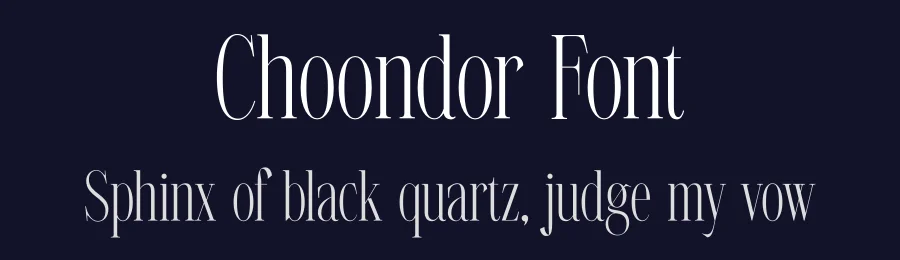 Choondor Font by Artnivora Studio — Serif Font — thumbnail 2