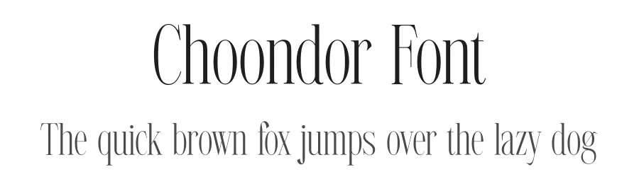 Choondor Font by Artnivora Studio — Serif Font