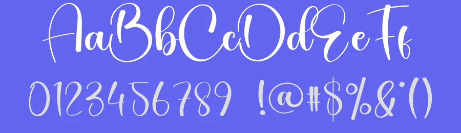 Christina Calligraphy Font by creativeletter — Script Handwritten Font — thumbnail 3