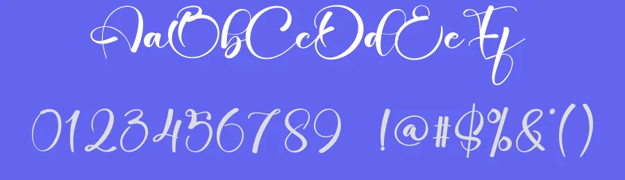 Christmas Birthday – Luxury Handwritten Script Font by creativeletter — Script Handwritten Font — thumbnail 3