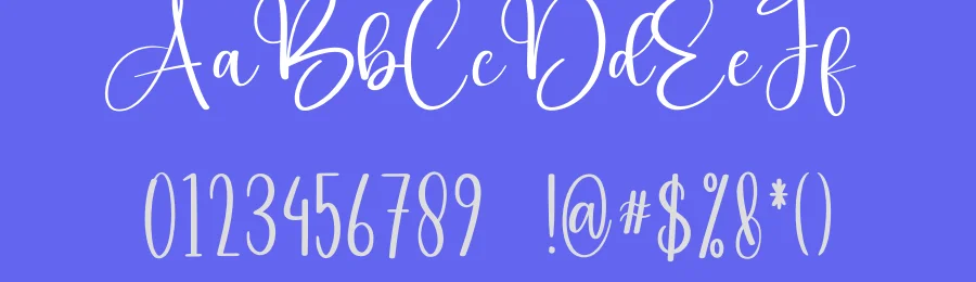 Christmas Chilly – Elegant Handwritten Font by creativeletter — Script Handwritten Font — thumbnail 3