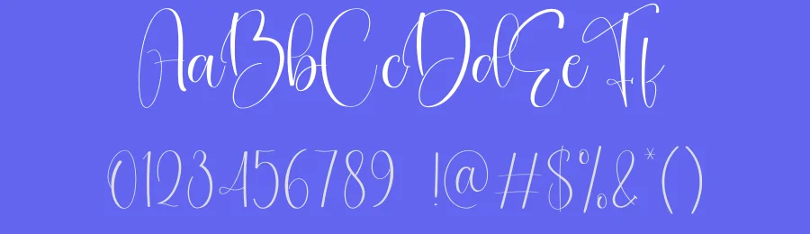 Christmas Party – Elegant Handwritten Font by creativeletter — Script Handwritten Font — thumbnail 3